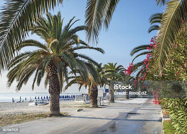 Perspektywa Palms - zdjęcia stockowe i więcej obrazów Bez ludzi - Bez ludzi, Brzeg wody, Drzewo