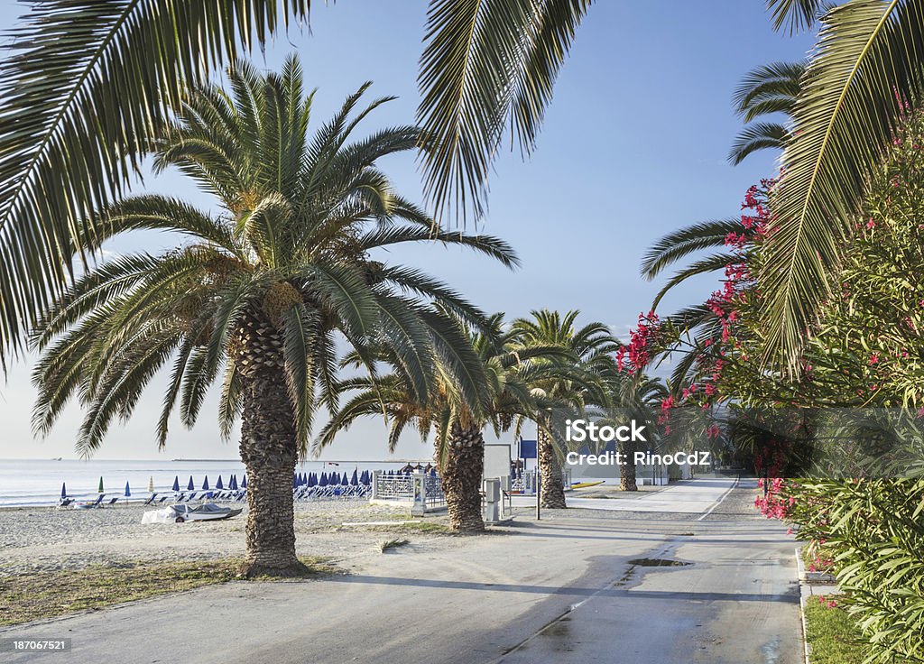 Perspectiva Palms - Foto de stock de Aldeia royalty-free