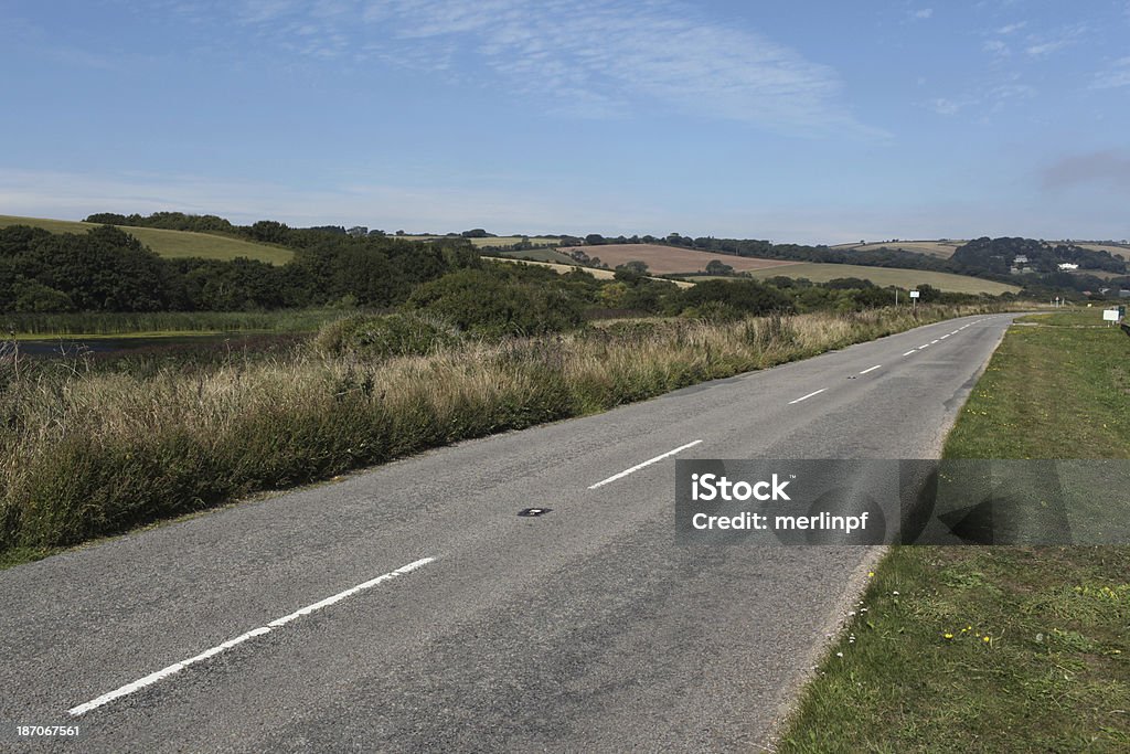 Slapton Leys Road Devon - Foto stock royalty-free di Albero