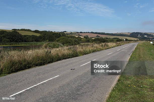 Slapton Leys Road Devon - Fotografie stock e altre immagini di Albero - Albero, Ambientazione esterna, Asfalto