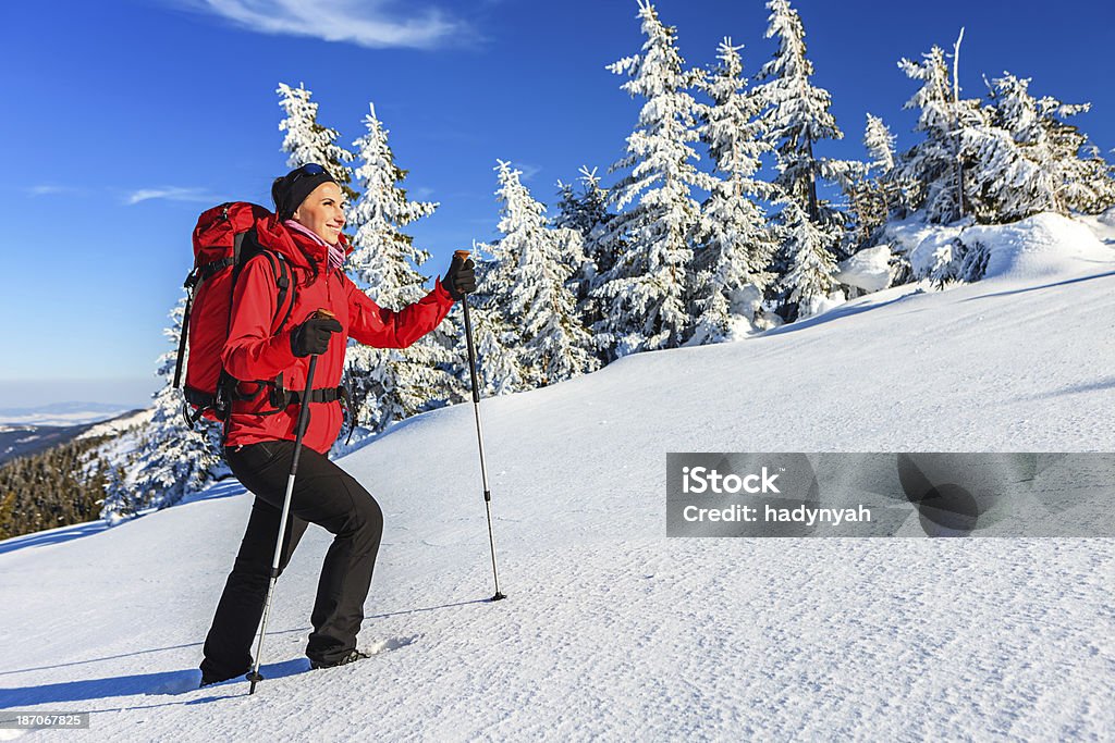 Młody Turysta z plecakiem (trekking) w okresie zimowym - Zbiór zdjęć royalty-free (Bezchmurne niebo)