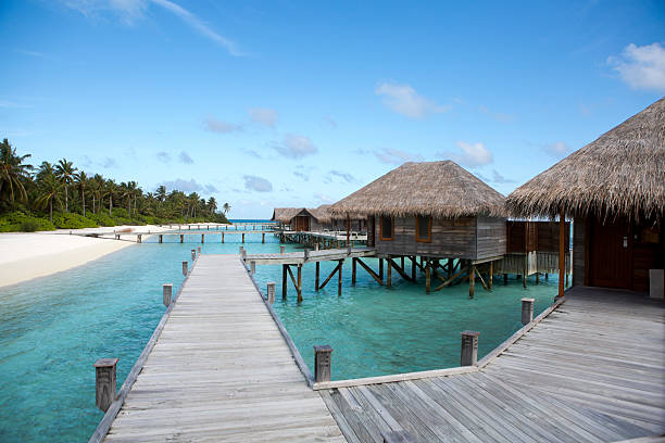 istock Maldives Islands Walkway to Private Bungalows 187067987