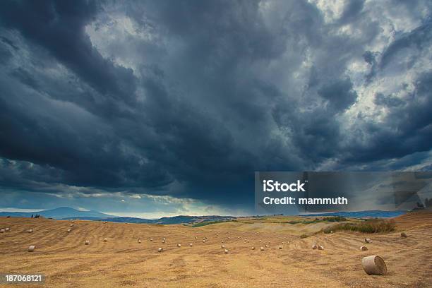 Photo libre de droit de Paysage Avec Haybales En Toscane banque d'images et plus d'images libres de droit de Beauté de la nature - Beauté de la nature, Botte de paille, Champ