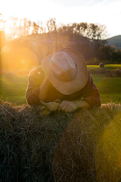 istock Cowboy Stress and Fatigue 187068361