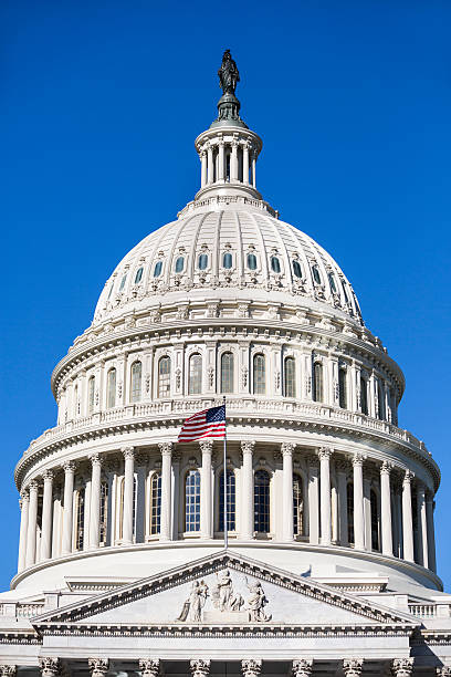 istock Capitol Building and the American Flag 187068595