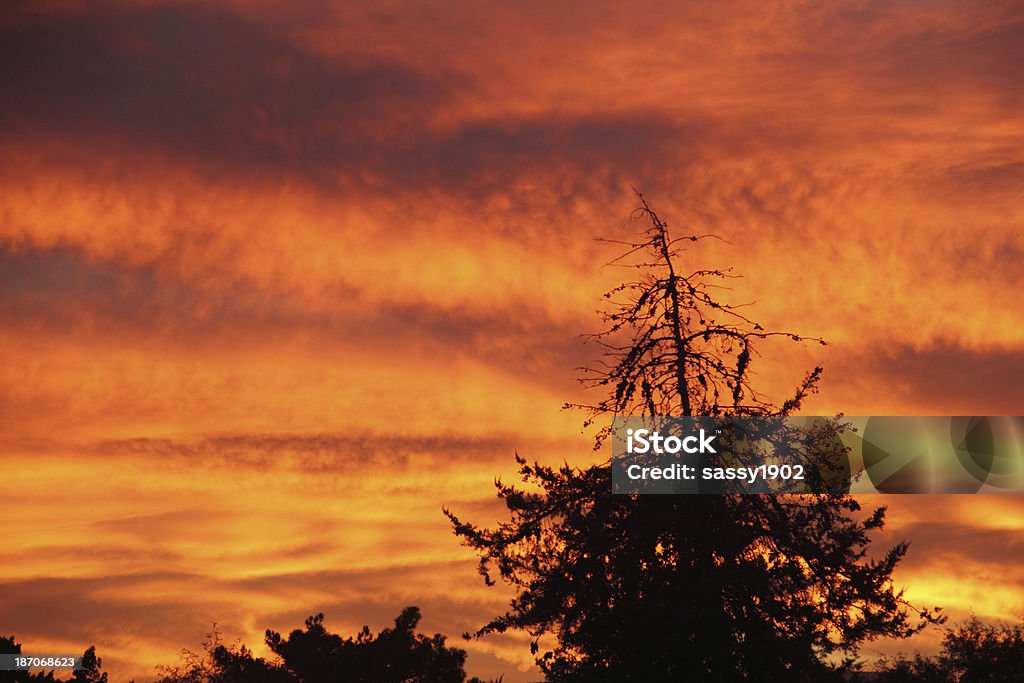 Sunset dramatische Silhoutte Orange - Lizenzfrei Abenddämmerung Stock-Foto