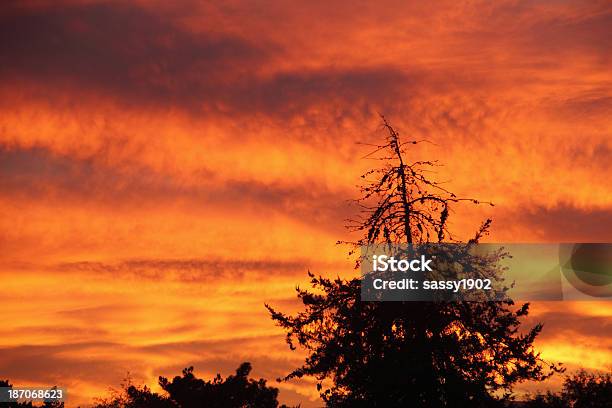 Sunset Dramatische Silhoutte Orange Stockfoto und mehr Bilder von Abenddämmerung - Abenddämmerung, Abmachung, Alles hinter sich lassen