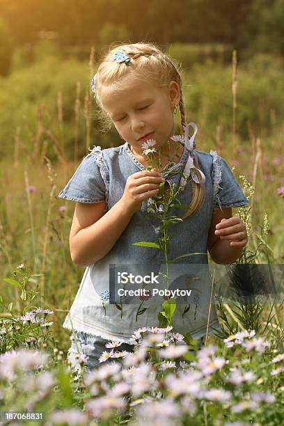 Ragazza Sul Prato Estivo - Fotografie stock e altre immagini di Adolescente - Adolescente, Adolescenza, Adulto