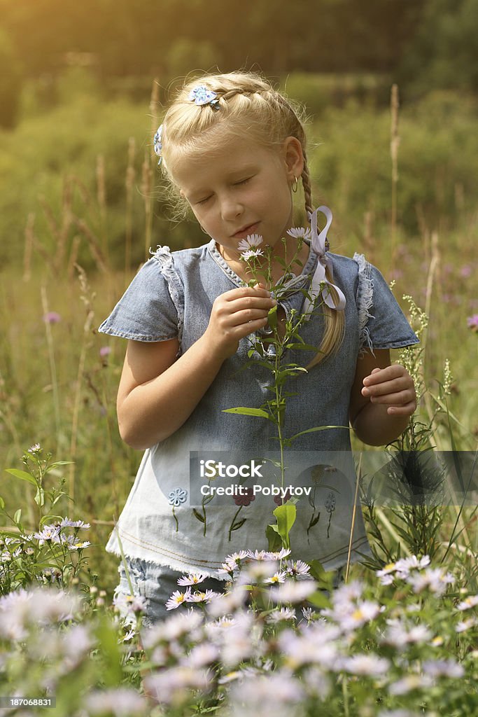 Menina no Prado de Verão - Royalty-free Adolescente Foto de stock