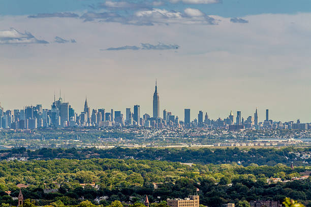 Midtown Manhattan in a Forest stock photo