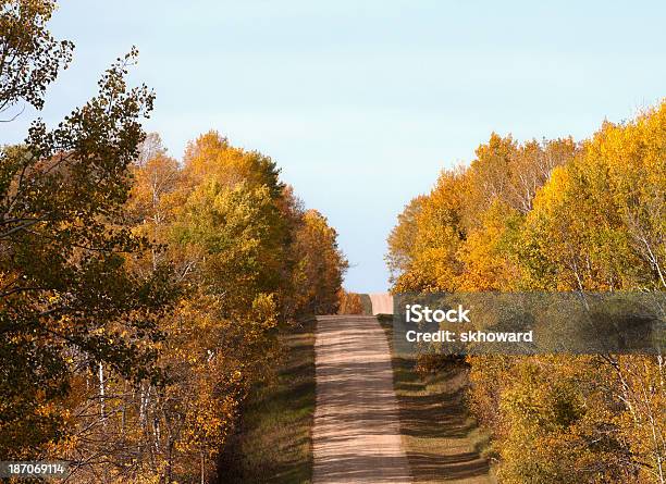 Country Road 秋 - からっぽのストックフォトや画像を多数ご用意 - からっぽ, アメリカ中西部, カラフル