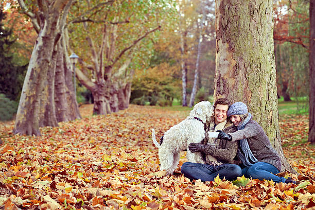 istock Young couple taking photo with their mobile phone at park 187069332