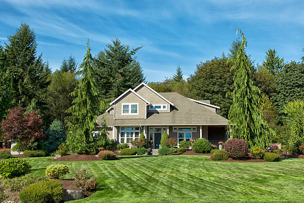 istock Our Perfect large family home 187071447