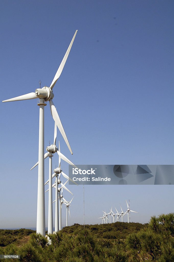 Turbina wiatrowa - Zbiór zdjęć royalty-free (Turbina wiatrowa)