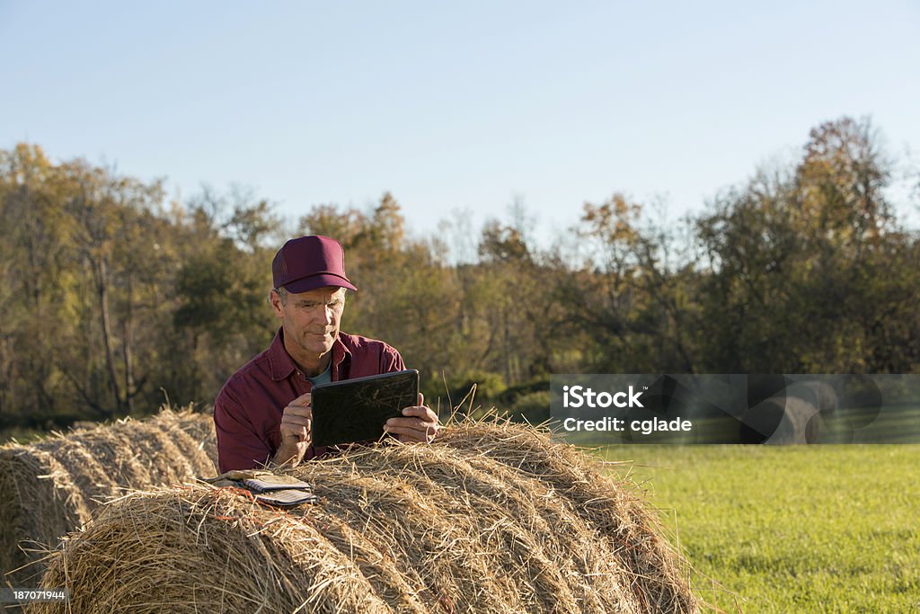 Amadureça agricultor trabalhar - Royalty-free Agricultor Foto de stock