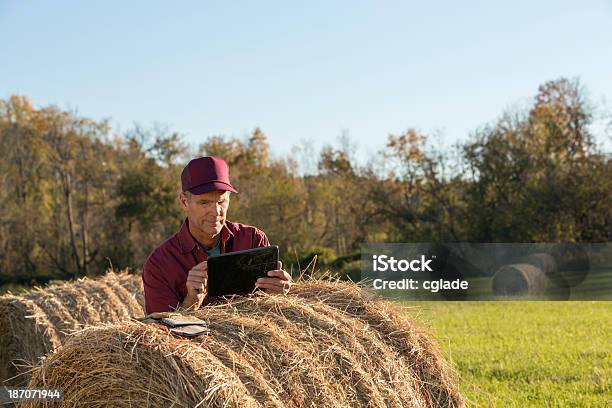 Amadureça Agricultor Trabalhar - Fotografias de stock e mais imagens de Agricultor - Agricultor, Ler, Fardo
