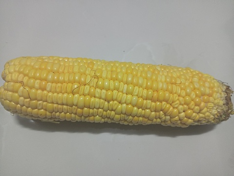 sweet corn on a white background