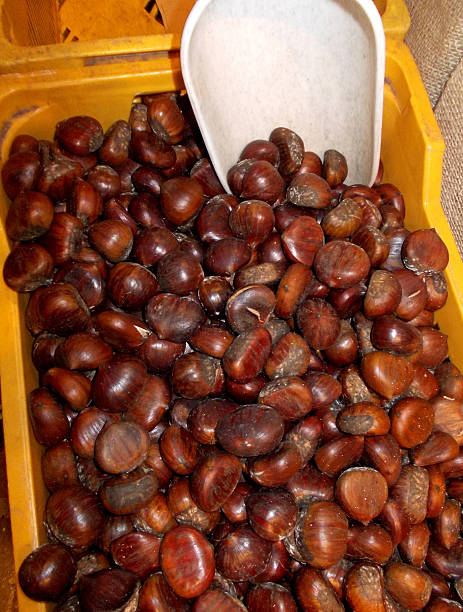 maduro algarrobas para la venta en el mercado - chestnut roasted heat roasted chestnut fotografías e imágenes de stock