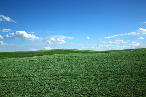 istock Grassy Hillside in Wyoming USA 187077930