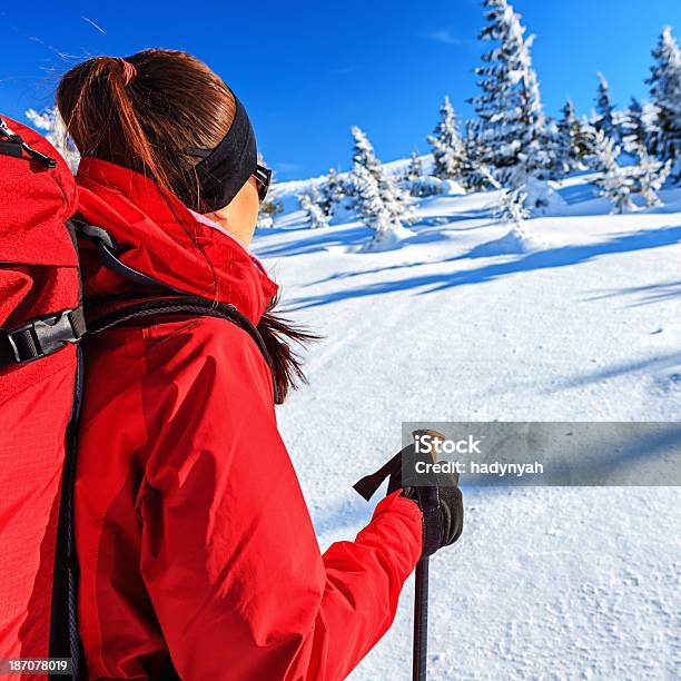젊은 여행자 트레킹 겨울 동안 가문비나무에 대한 스톡 사진 및 기타 이미지 - 가문비나무, 걷기, 겨울
