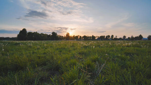 istock Evening city meadow at sunset. 1870781155