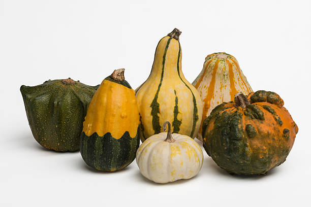 istock Group of pumpkins 187078275