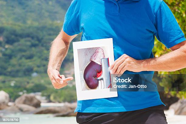 Apontar A Rim - Fotografias de stock e mais imagens de Glândula Adrenal - Glândula Adrenal, Abdómen, Abdómen Humano