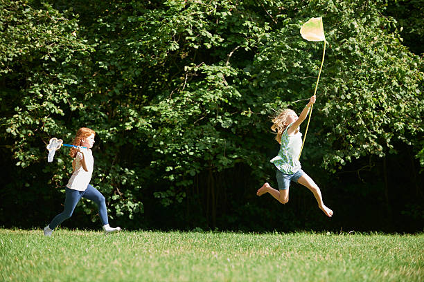 две девочки, преследовать бабочки в лето поле - catching butterfly netting summer стоковые фото и изображения