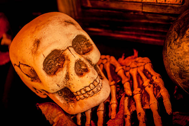 Skeleton Skull Halloween stock photo