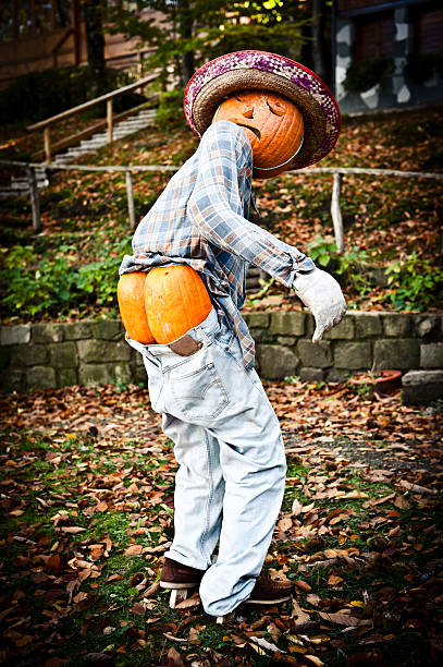 Halloween Funny Man Made of Pumpkins stock photo