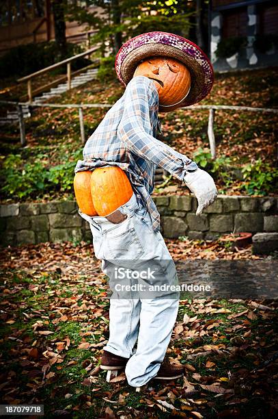 Хэллоуин Забавный Человек Made Of Pumpkins — стоковые фотографии и другие картинки Тыква - Тыква, Ягодица, Юмор