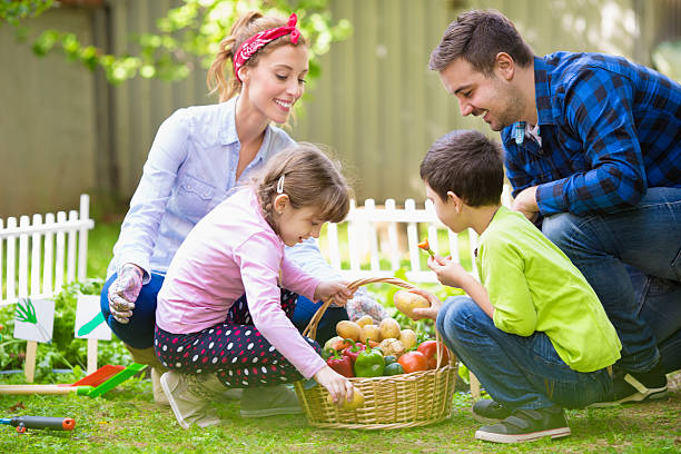 istock Family Working At Vegetable Garden. 187080189