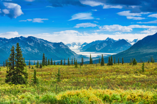 View at Matanuska Glacier at Summer day, Alaska, USA.