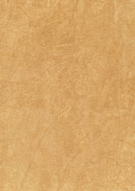 istock Artist's Primed Cotton Duck Canvas Mottled Grunge Texture 187082165