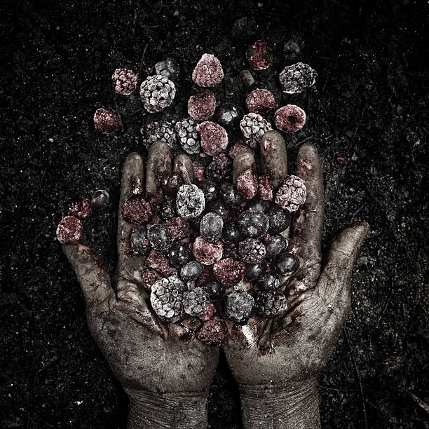 istock Handful of Berries 187082187