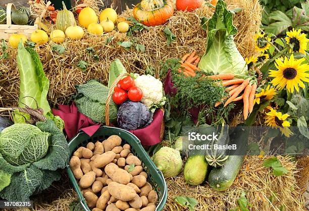 Thanksgiving Stockfoto und mehr Bilder von Blaukraut - Blaukraut, Blumenkohl, Dekoration