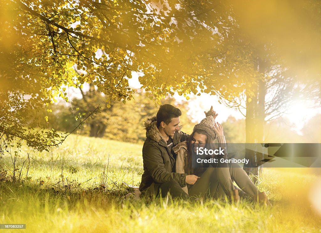 Happy couple under  tree in the autumn park Happy couple under the tree in the autumn park Adult Stock Photo