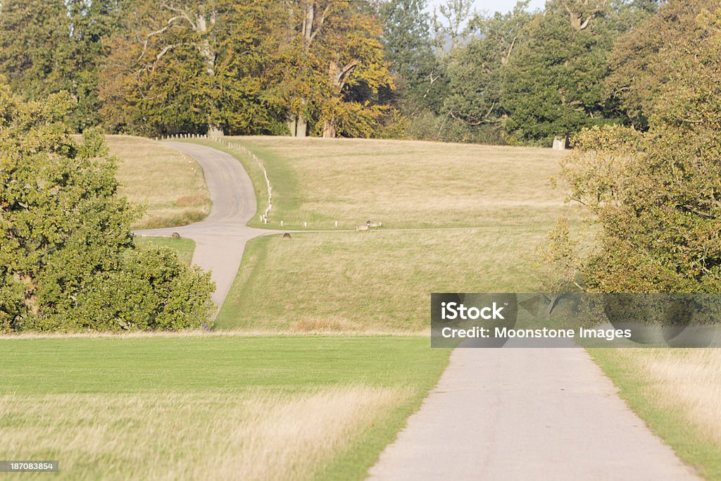 Knole Park em Sevenoaks, Inglaterra - Foto de stock de Knole royalty-free