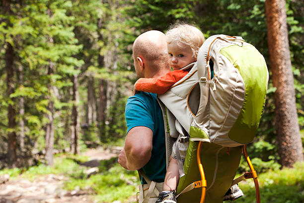 Little boy in a backpack carrier on a hike stock photo