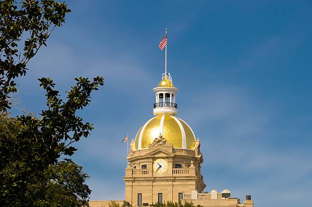 istock City Hall, Savannah 187086299
