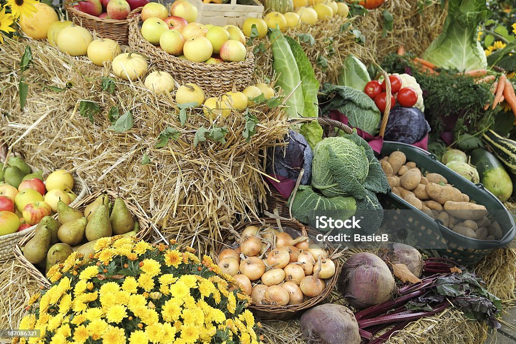 Giorno del Ringraziamento - Foto stock royalty-free di Barbabietola rossa