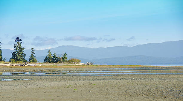 istock Rathtrevor Park and  Beach Scene 187086910