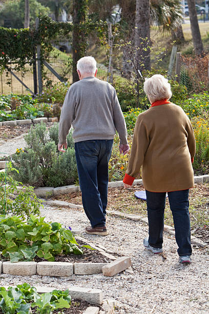 пожилая пара ходить через сад - sc0588 vertical full length outdoors стоковые фото и изображения