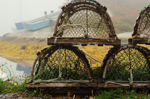Lobster traps line the shore