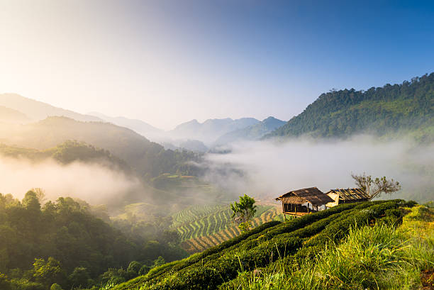 istock Beautiful sunshine at misty morning mountains . 187088958