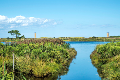 Gordon' Pond wildlife area in north of Rehoboth Beach, Delaware.