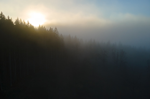 Aerial view of foggy evening over dark pine forest trees at bright sunset. Amazingl scenery of wild mountain woodland at dusk.