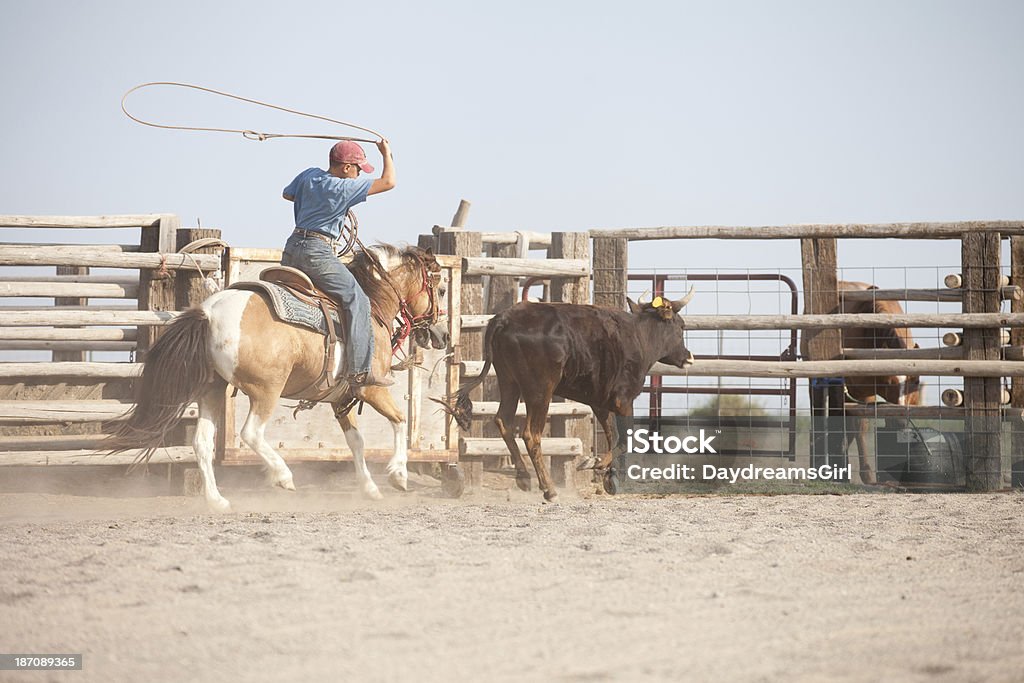 Giovane bambino equitazione cavallo di Rodeo Roping una guida pratica - Foto stock royalty-free di 10-11 anni