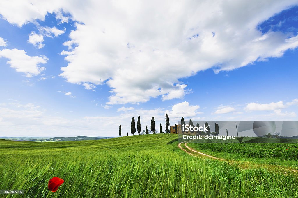 Masseria in Val d'Orcia, Toscana - Foto stock royalty-free di Albero