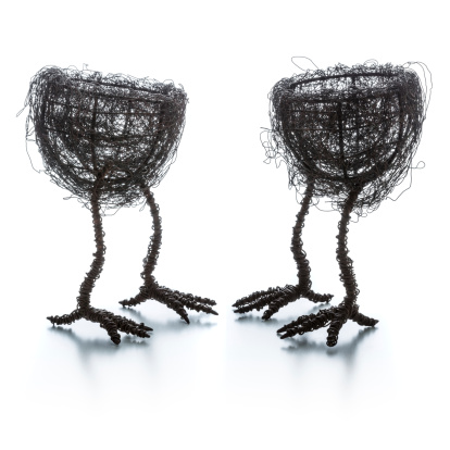 weirdest bird's nest with legs made of metal wire